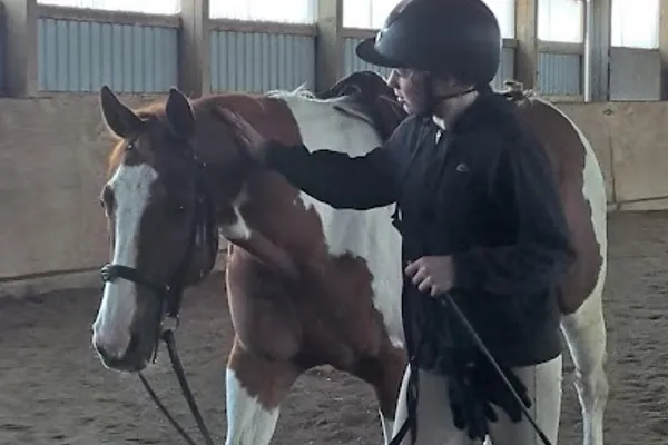 Absolute Equestrian Centre
