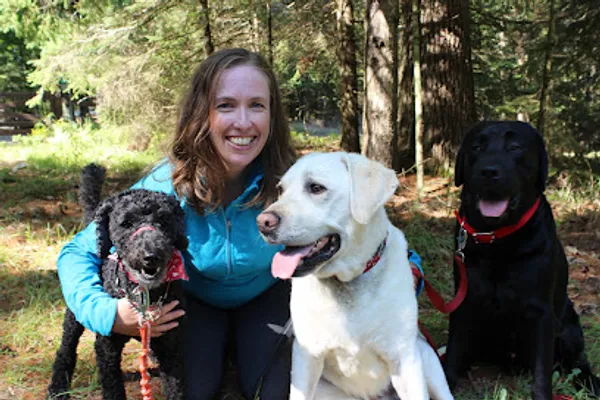 Adventure Tails Dog Walking
