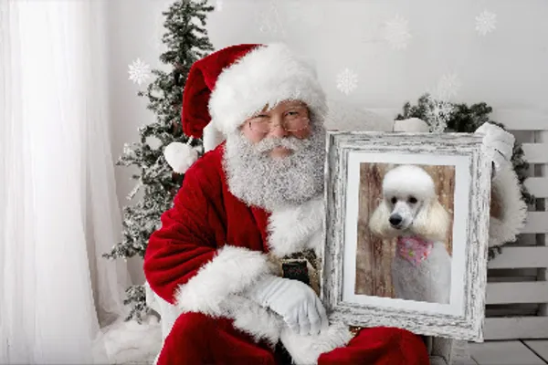 Top Notch Dog Grooming