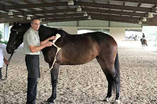 Saddlefit 4 Life