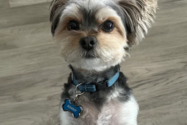 Lynn's Pet Grooming & Supply Centre