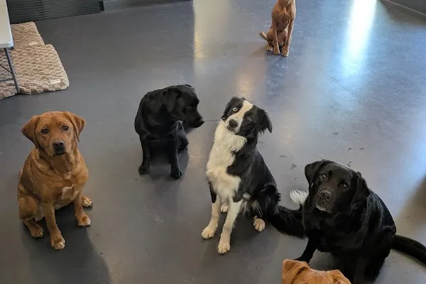 Come Play Stay Toronto