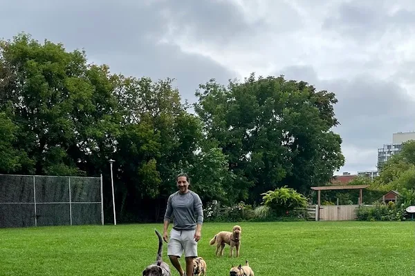 Toronto Junction Dog Boarding