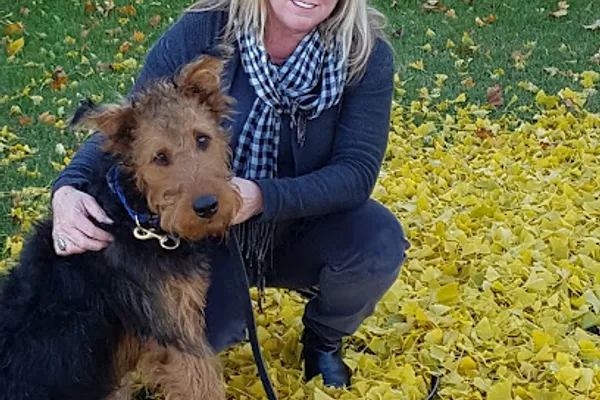 Westside Dog Walking Cambridge