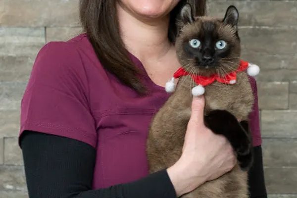 Kay's Pawsitive Pet Care