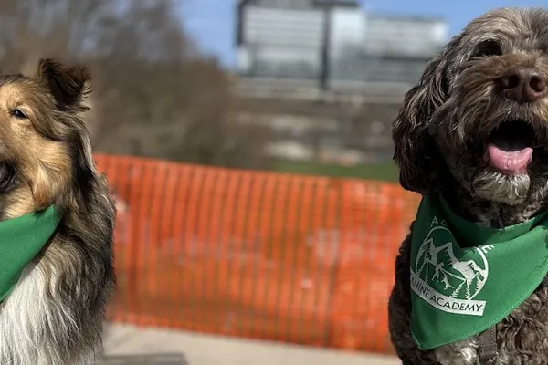 Adventure Canine Academy