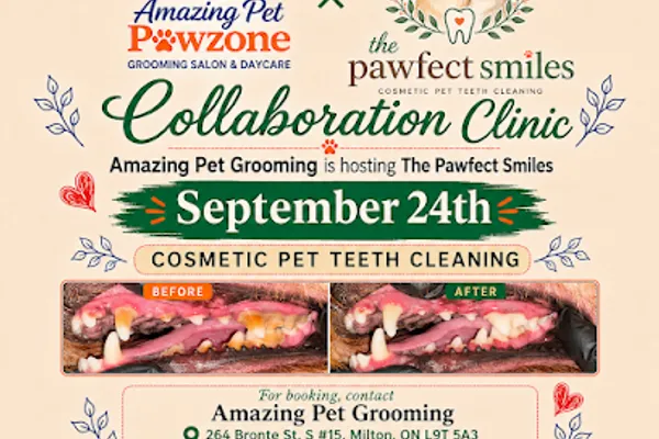 The Pawfect Smiles Cosmetic Pet Teeth Cleaning