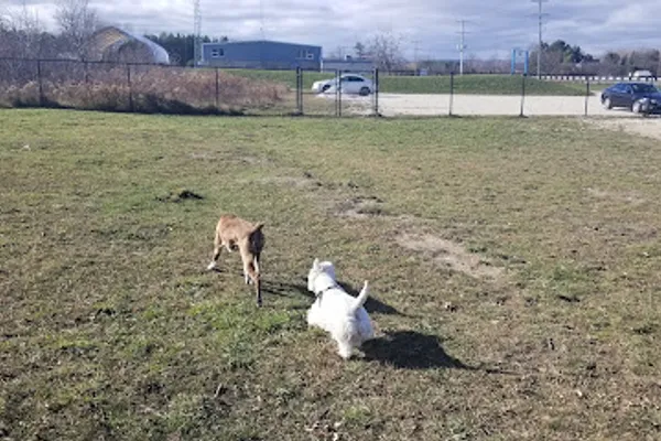 The calm leash