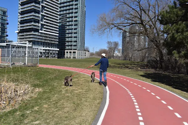 Barkspace