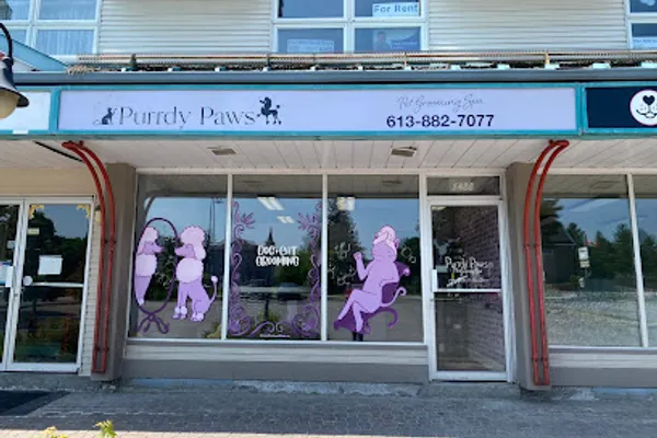Purrdy Paws Stittsville