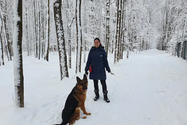 Sunny Dog Training Ottawa