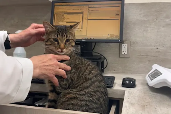 Vanier Animal Hospital