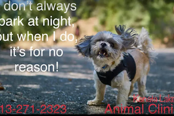 Kanata Lakes Animal Clinic