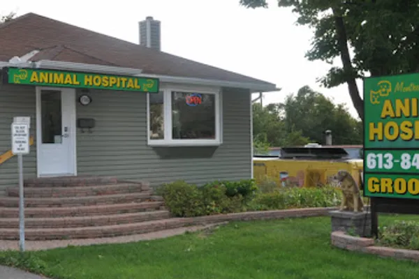 Montreal Road Animal Hospital