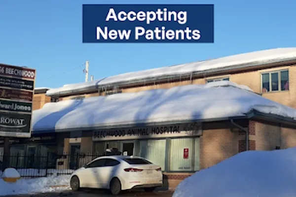 Beechwood Animal Hospital