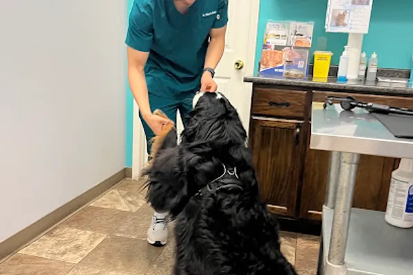 Moira Veterinary Clinic