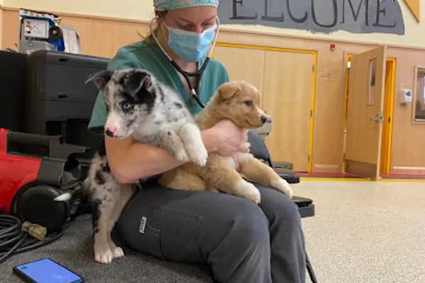 Veterinarians without Borders Canada (VWB/VSF)