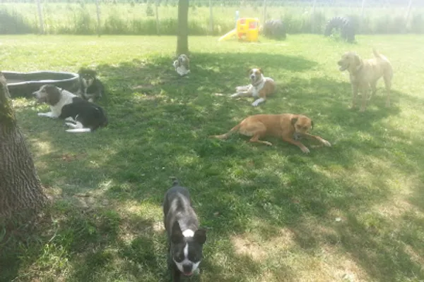 CasaCanine Kennel