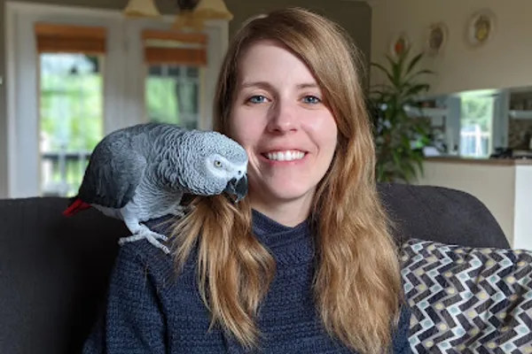 Around the Flock - Companion Animal Training