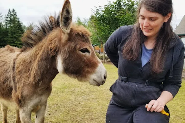 Kat, Behaviour Tech