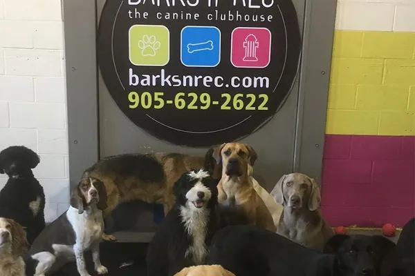 Barks n' Rec