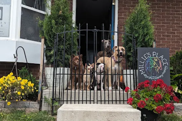 Millie's Place 613