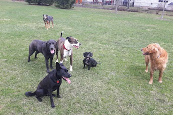 Furry Followers Pet Care Services Inc.