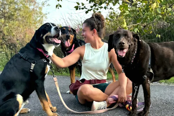 Ali's BFF Pet Care