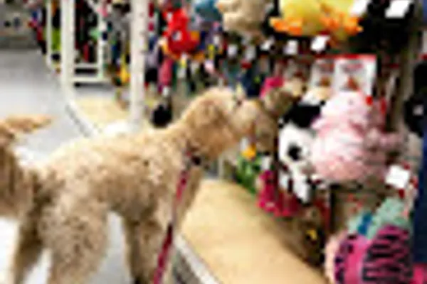 Pets World