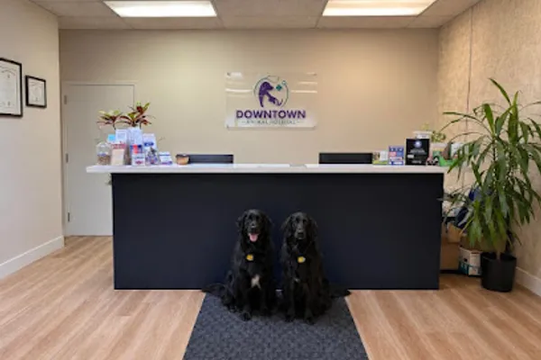 Downtown Veterinary Hospital