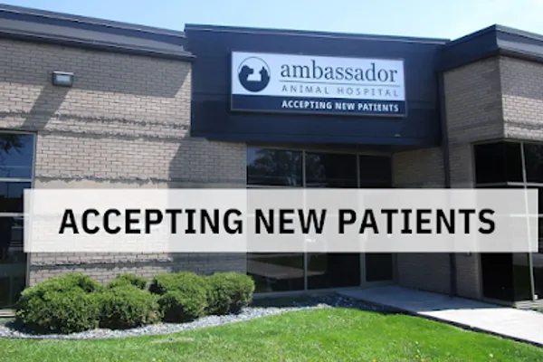 Ambassador Animal Hospital