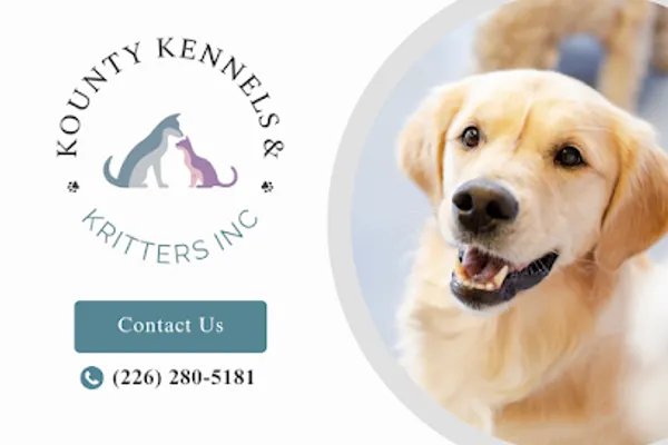 Kounty Kennels & Kritters Inc.