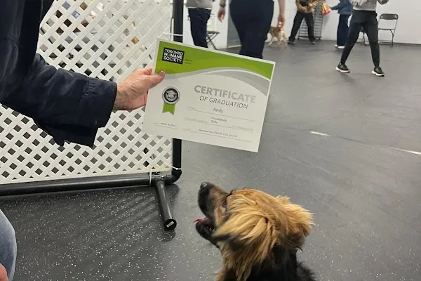 Toronto Humane Society Dog Training Services