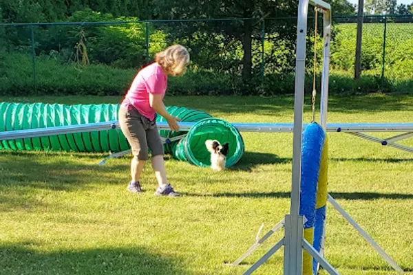 ClassPup Animal Training and Behaviour