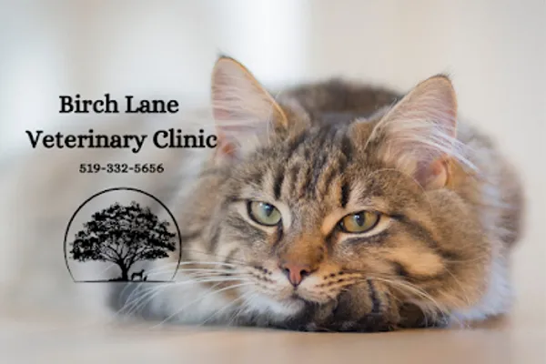 Birch Lane Veterinary Clinic