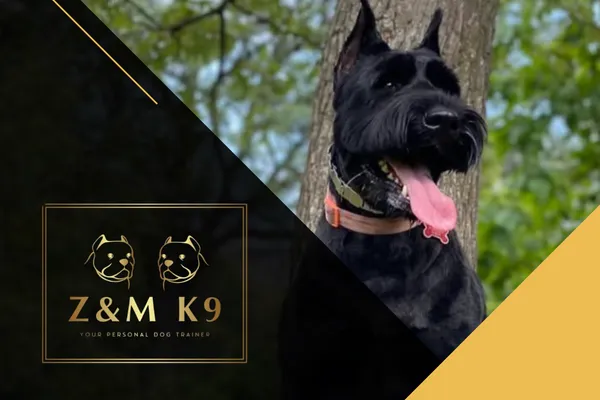 Z&M K9 Dog Training