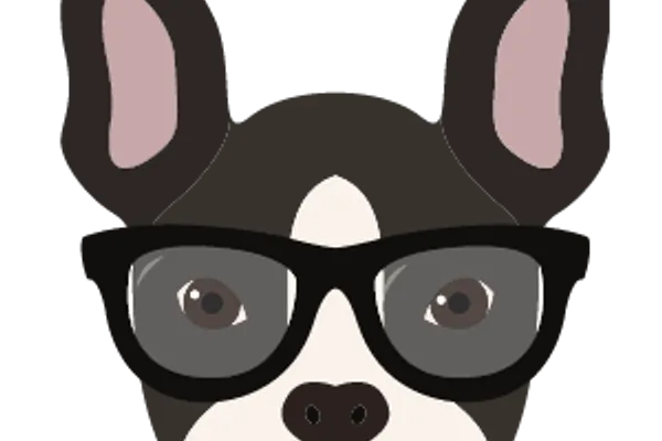 Anji Barton Dog Training
