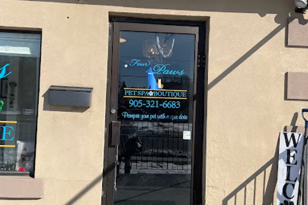 Four paws pet spa and boutique