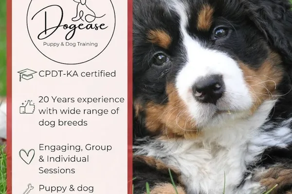 Dogease Puppy & Dog Training
