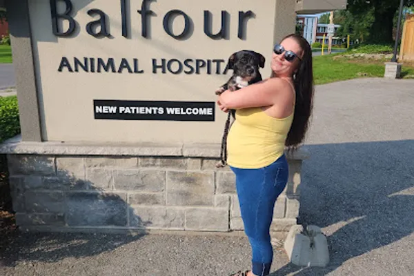 Balfour Animal Hospital