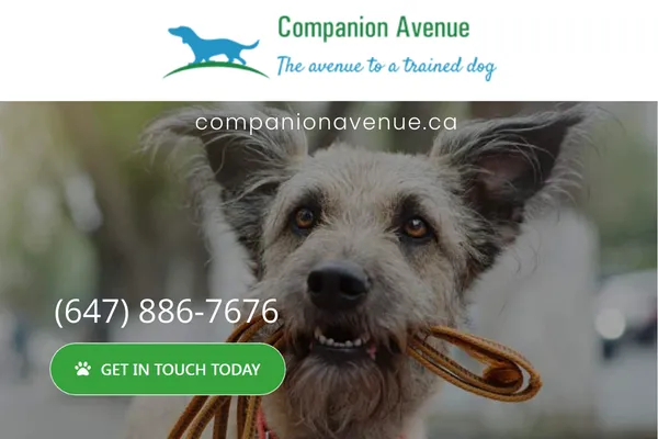 Companion Avenue