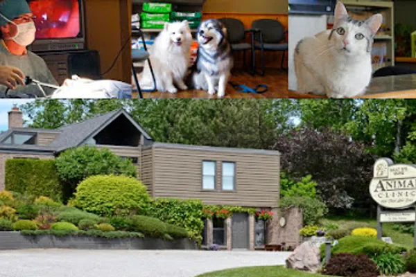 Sault Ste Marie Animal Clinic