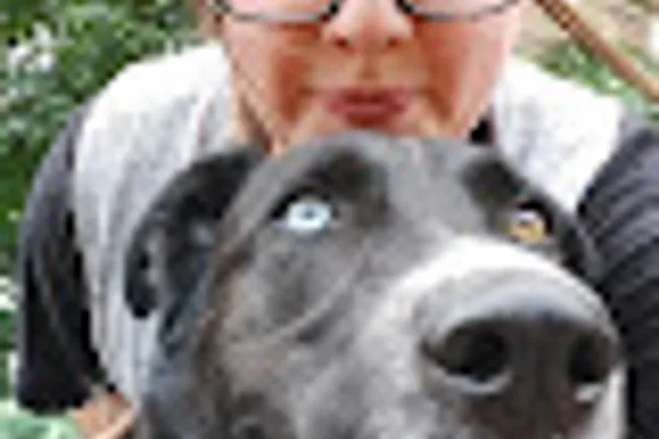 Lowie's Lair Doggy Daycare