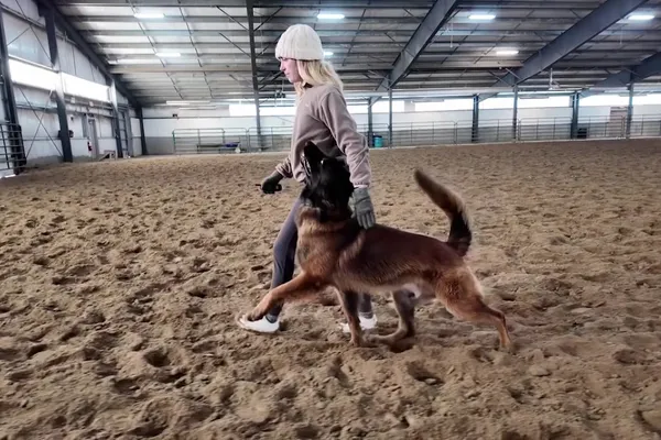 Dog Trainer Cass