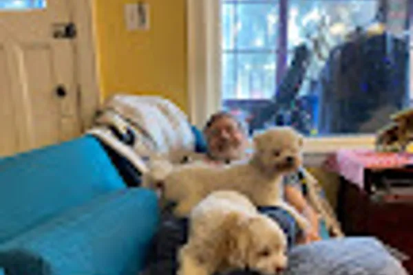 T's Doggy Daycare & Boarding