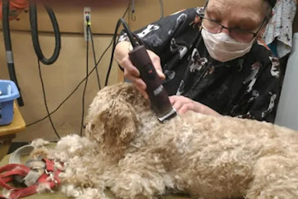 Nuttah's K9 Care