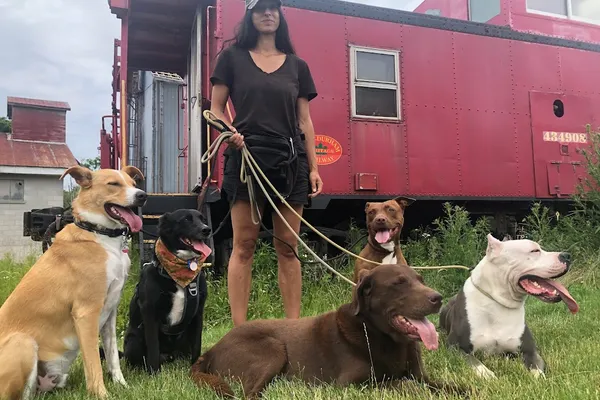 Mindful Dog Company - Toronto