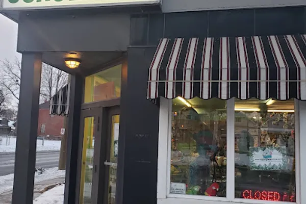 Jungle Services | Parrot Store and Grooming