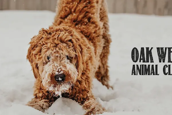 Oak West Animal Clinic