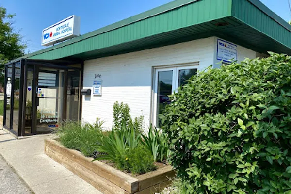 VCA Canada Northdale Animal Hospital